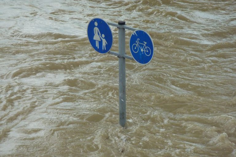 Naturschutzbund fällt Donaugemeinden bei Hochwasserschutz in den Rücken