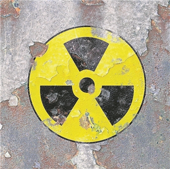 Angst vor Atom-Temelin! Kreisrätin fordert Übungen für den Ernstfall